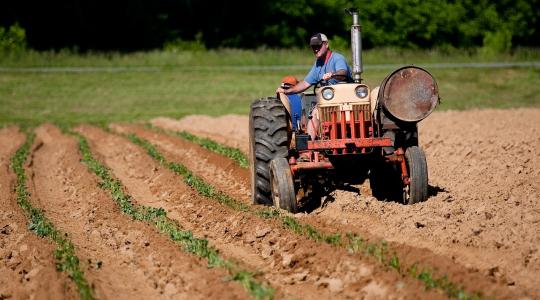 Az Agrárminisztérium támogatja a nyugat-balkáni országok uniós csatlakozási folyamatát