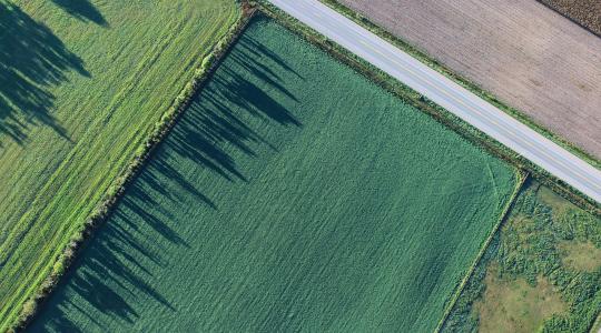 Elindul az Agrárcenzus 2020 –  az adatszolgáltatás az érintettek számára kötelező!