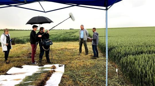 Válasszon olyan kalászos termékeket, amelyek a gyakorlatban is bizonyítanak