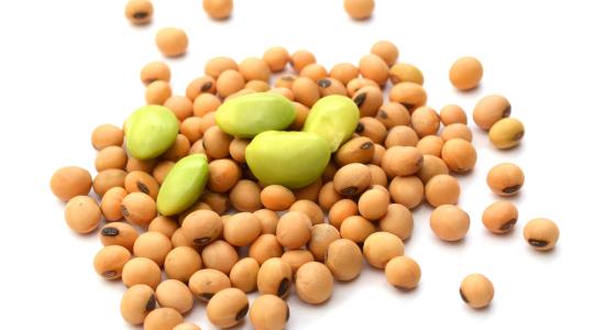 Az orosz állampolgárok kevésbé érzékenyek a Covid-19-re, mint azon országok polgárai, ahol a GMO elterjedt?
