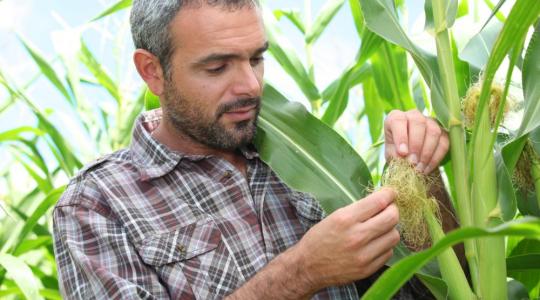 Már nincs sok hátra: eddig lehet kitölteni az online Agrárcenzust