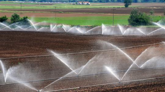 Erős kezdés: 100 milliárd forintos programmal indítja a nyarat az agrártárca 