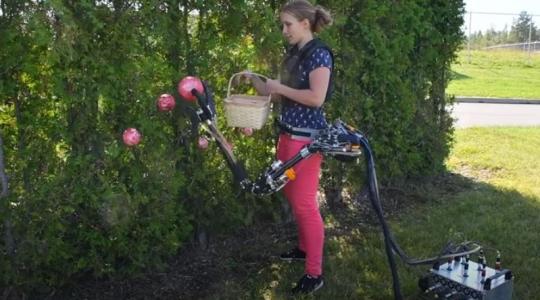 Zseniális fejlesztés: derékra rögzíthető robotkar gyorsítja a betakarítást – VIDEÓ