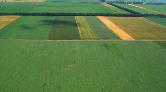 Az agrárkamara nemzetközi szinten is felszólalt az Európai Zöld Megállapodás célkitűzései ellen