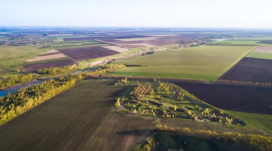 Virtuális határszemle 5.:  Növényvédelmi előrejelzés – hogy előre tudja, mikor kell beavatkozni