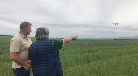 Eltűnt a drótféreg, zöldebb az állomány és láthatunk szép repcét is idén! – VIDEÓ