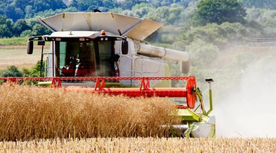 Az aratási munkák alatt fokozott figyelmet kér a közlekedőktől az agrárkamara
