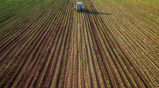 Elképesztő fejlesztési kényszer van az agráriumon, de a gazdák nincsenek egyedül