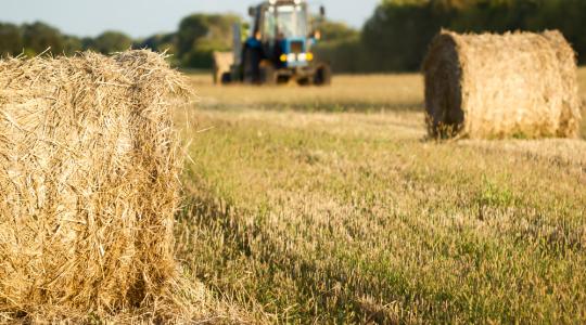 Több száz diák próbálhatja ki magát az agrárszakmában a nyáron