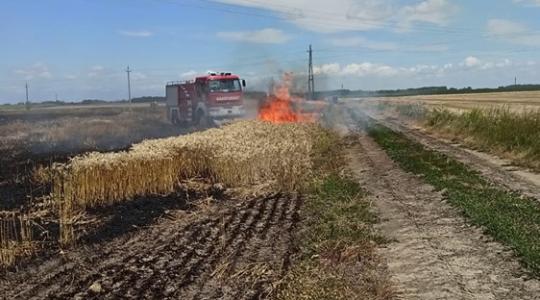 A tizedikről vette észre, hogy ég a gabonatábla – VIDEÓ
