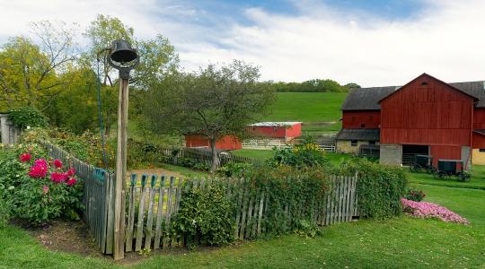Homeopátiával a növények betegségei ellen