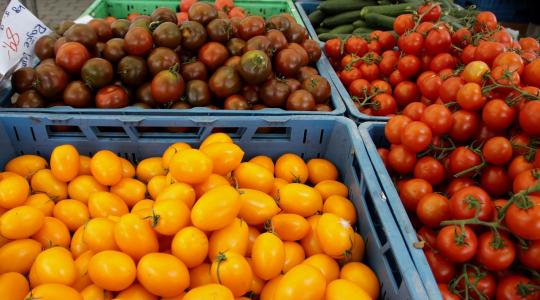 Az amerikai agrárminiszter indokolatlannak tartja a génmódosított növények, vagy a hormonkezelt marhahús EU-s tilalmát