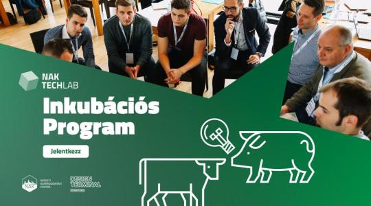 Nagy lehetőség a magyar startup-ok számára! Már lehet jelentkezni a NAK TechLab programjára