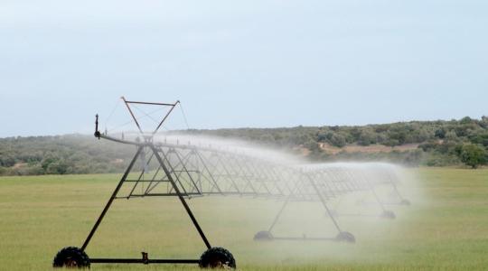 Útmutatóval segíti az öntözésfejlesztést az agrárkamara