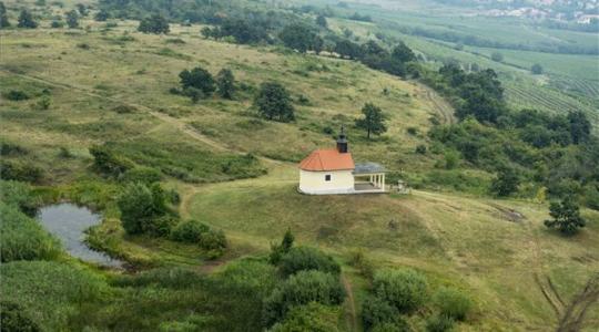 Helikopterről keresik a parlagfüves területeket