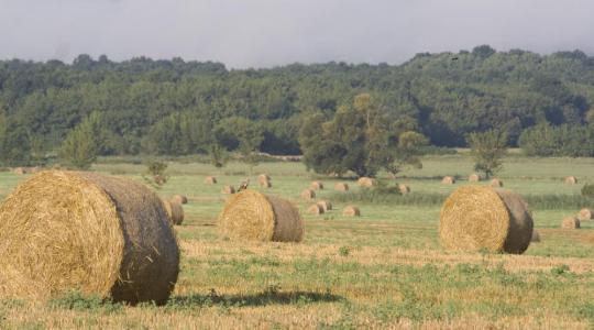 Jön a hidegfront, visszaesik a hőmérséklet