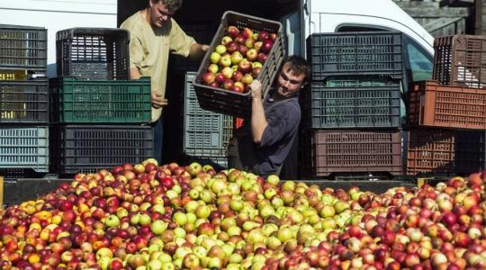 A SPAR nyitott az együttműködésre a magyar termelőkkel