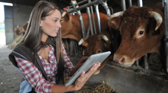 Támogatást nyert a Szent István Egyetem – 773 millió forintból indulhatnak agrárfejlesztések