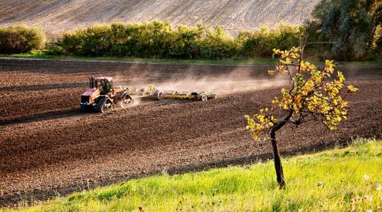 Marad a nyárias idő, pedig az elvetett repcének csapadékra lenne szüksége