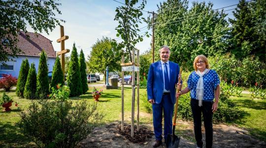 Ötszáz településen ültetnek fákat – az első csemeték már a végleges helyükre kerültek