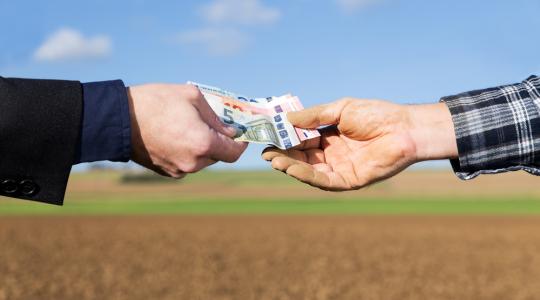 Agrár hallgatók, figyelem! Szeptember 15-ig érdemes igényelni a diákhiteleket Agrár hallgatók, figyelem! Szeptember 15-ig érdemes igényelni a diákhiteleket