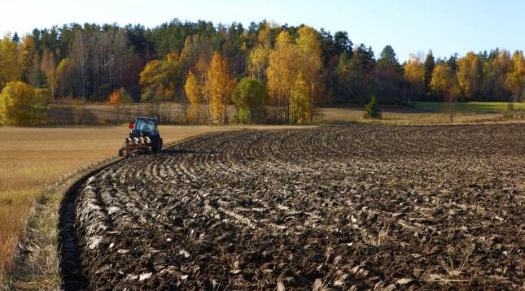 Bűnszervezetben lopták az agrártámogatásokat