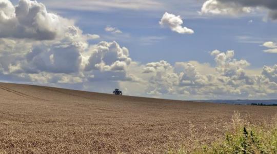 Lehűléssel és csapadékkal fordul ősziesebbre az időjárás