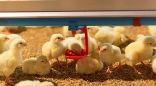 Agrárinformatikai rendszerfejlesztő cégbe fektetett a hazai tőkealap-kezelő