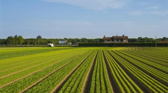 A nemzeti társfinanszírozás növelése elengedhetetlen a hazai agrárium fejlődésében