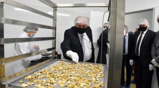 248 millió forintból épült szarvasgomba-feldolgozó üzem Szolnokon