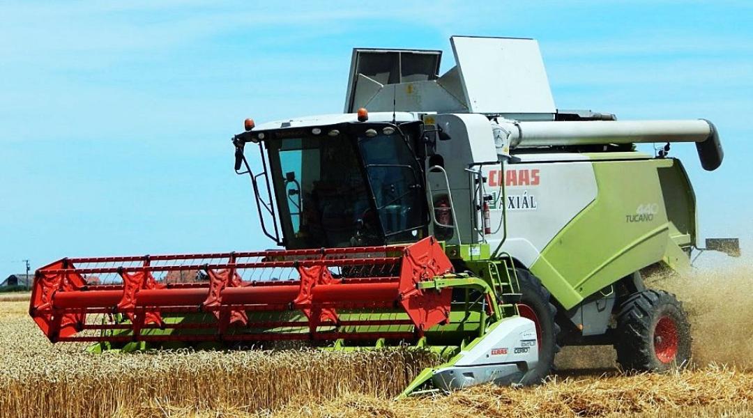 Zajlik az aratás, közben már a következő szezonra is készülünk