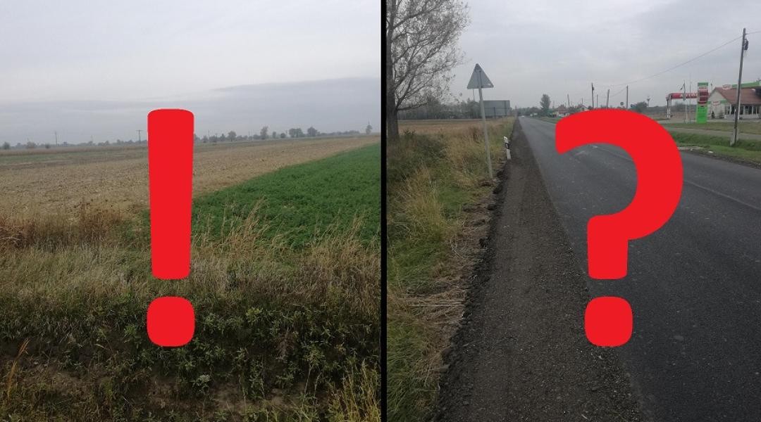 Terménylopás és 