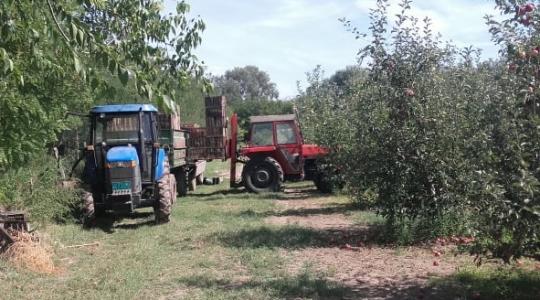 A megszokottnál enyhébb idő várható