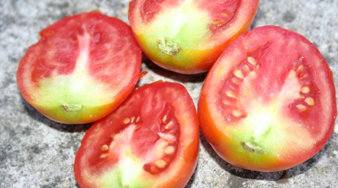 Foltos vagy nem színesedik a paprika, paradicsom? Ezzel javíthatunk a helyzeten!