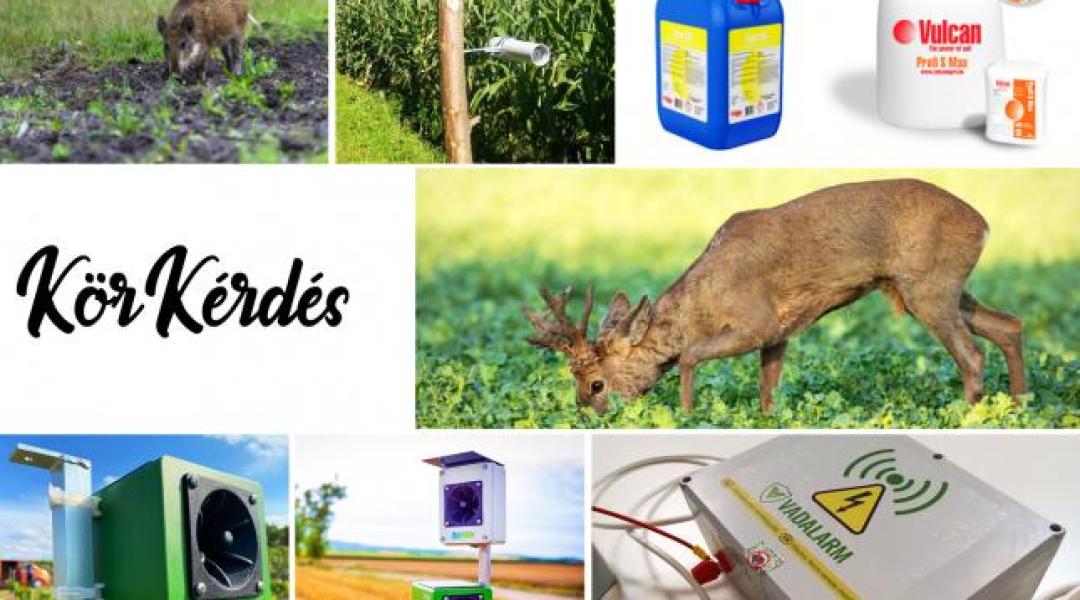 Vadriasztó módszereket mutatunk, amikkel megelőzheted a vadkárt