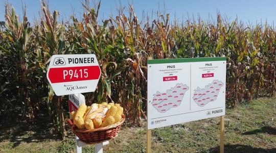 Ennyivel nőtt a Corteva Agriscience árbevétele