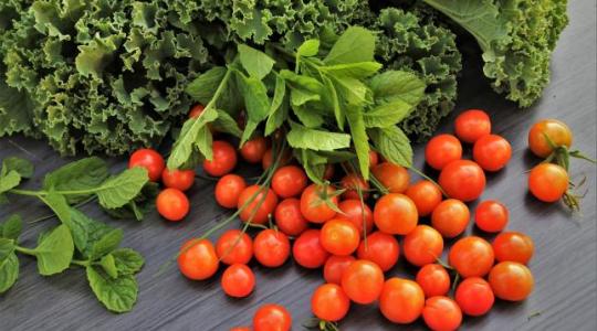 Egész évben friss zöldségek érkeznek egy hazai startup beltéri farmjáról