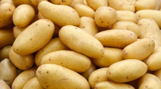 Hogyan marad sokáig friss a burgonya? Hát így!
