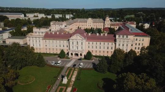 Okos tojás, vega szalámi, speciális takarmány – szenzációs magyar szabadalmak