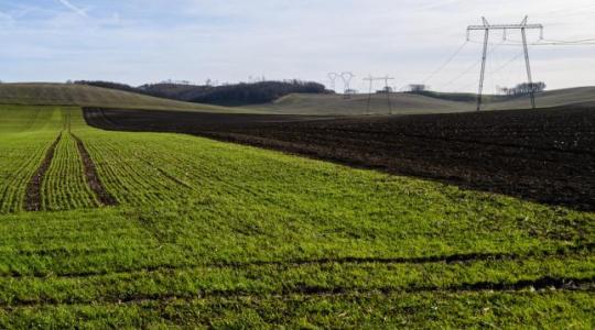 Figyelem! 2021-től ezeket a földtulajdonosokat törlik a nyilvántartásból