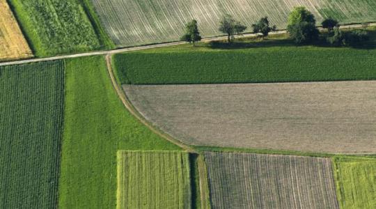 Ingatlan-nyilvántartás: utólag is igazolhatja magát a földtulajdonos