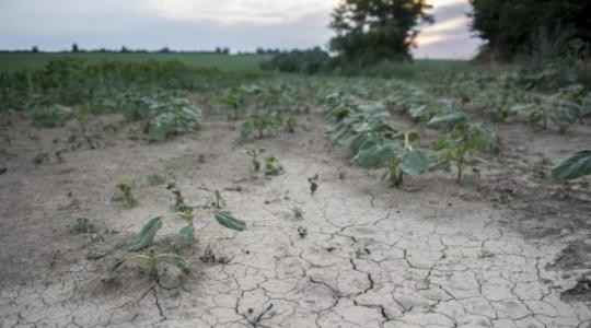 Bővült az agrárbiztosítások díjállománya – kedvezőbb visszatérítésre számíthatnak a gazdák