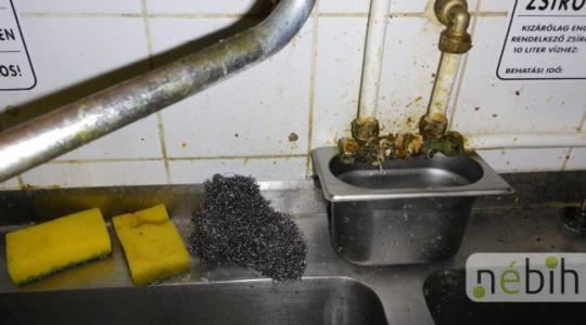 Horror körülmények egy budapesti étteremben – a Nébih azonnal bezáratta