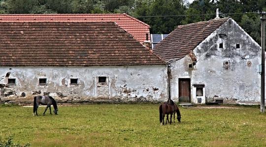 Eljárás indult az állataival rosszul bánó gazda ellen