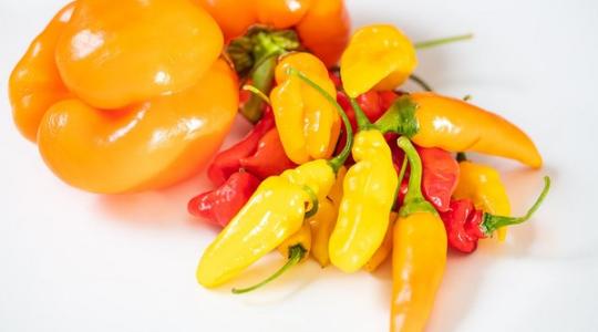 A narancssárga színű zöldpaprika segíthet a szembetegségek megelőzésében