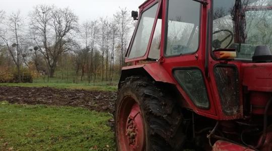 Karácsonyi időjárás: esernyőre vagy hólapátra lesz szükség? 