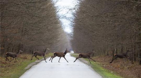 Nyugaton marad az eső – vagy havas esőre válthat az időjárás