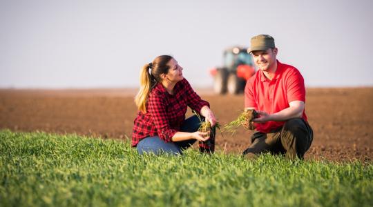 Hétfőtől lehet jelentkezni az agrár-felsőoktatásba