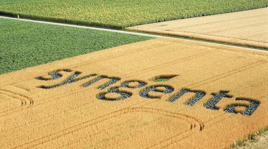 Új rovarölő hatóanyagot fejlesztett a Syngenta