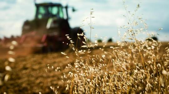 Az Agrárkamaránál kérelmezhető az őstermelői jogviszony igazolása